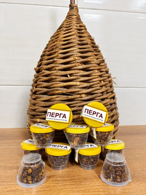 Перга (10г.)