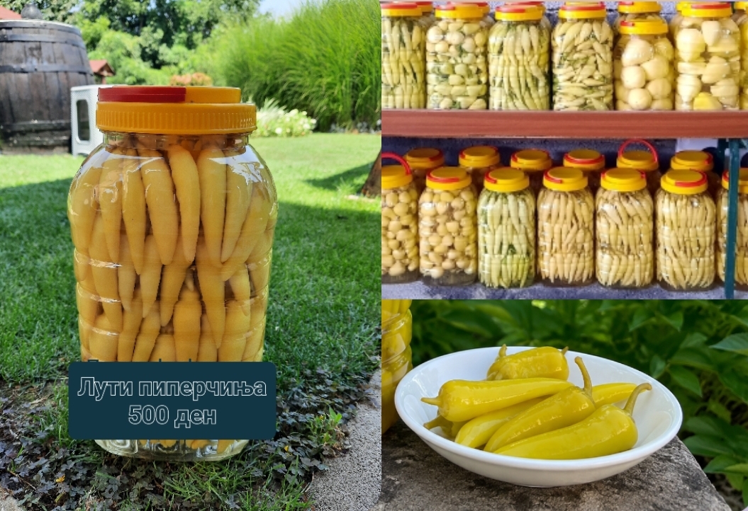 Туршија